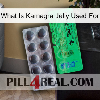 What Is Kamagra Jelly Used For new04